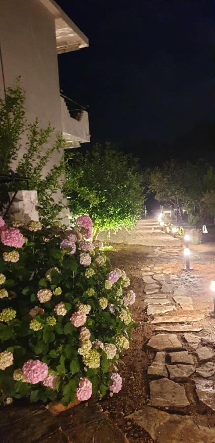 Sivotahomes-family Appartement Sívota
